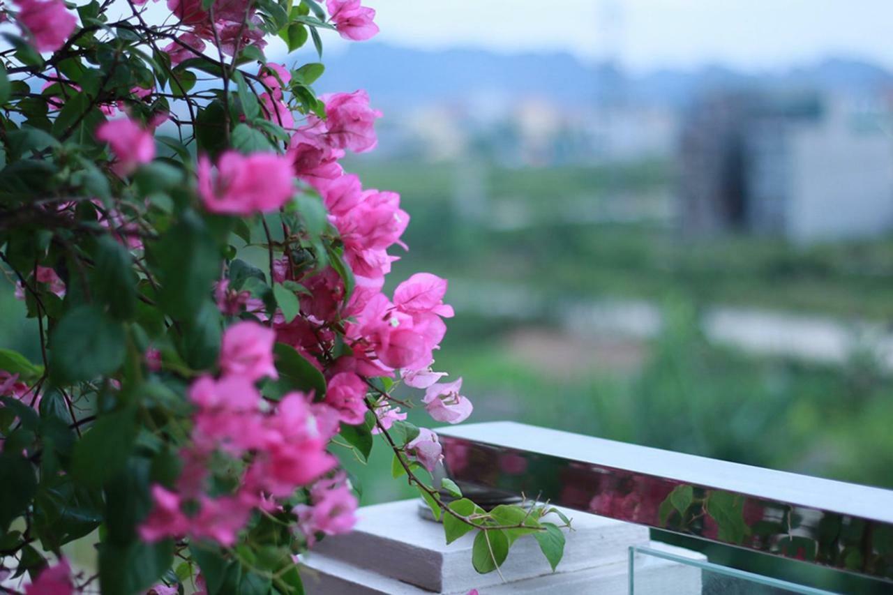 Hotel Salina Ninh Binh